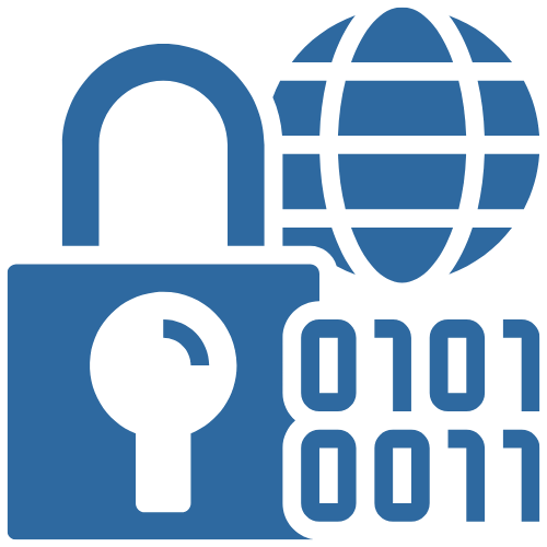 IP Ownership & Code Security