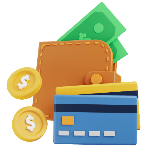Ecommere Payment System